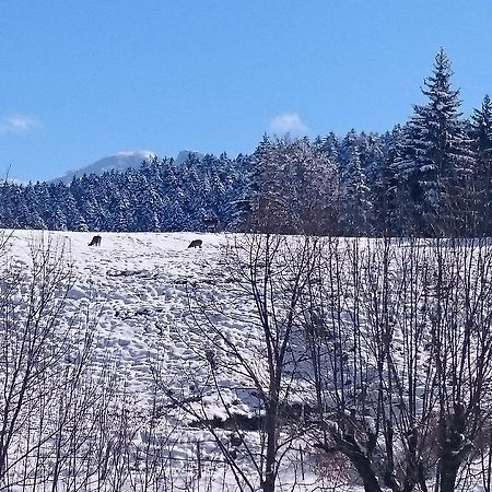 Hotel La Ferme Du Bois Barbu Villard-de-Lans Esterno foto