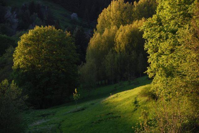 Hotel La Ferme Du Bois Barbu Villard-de-Lans Esterno foto