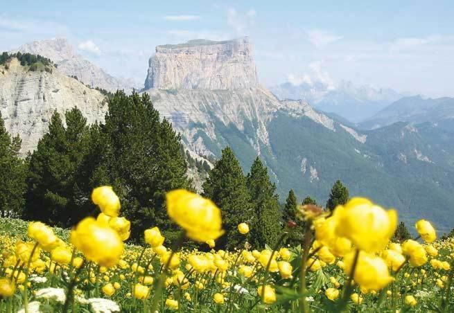 Hotel La Ferme Du Bois Barbu Villard-de-Lans Esterno foto