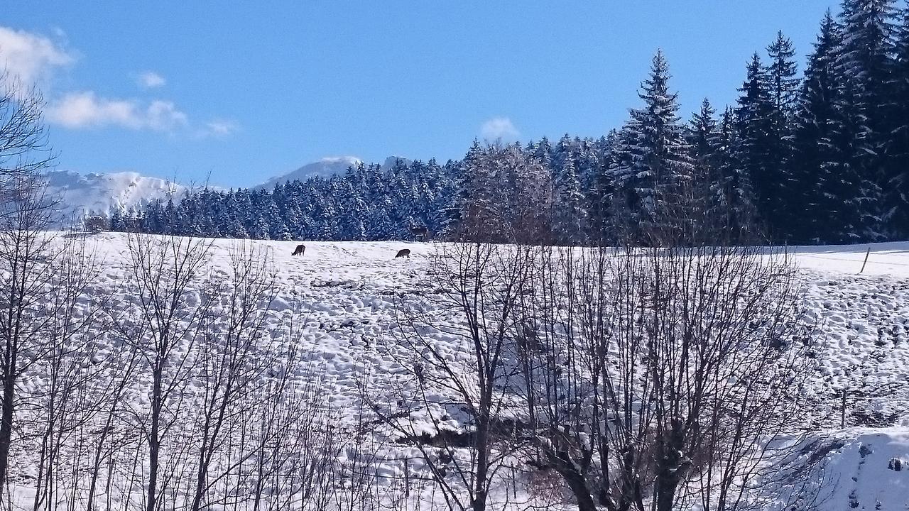 Hotel La Ferme Du Bois Barbu Villard-de-Lans Esterno foto